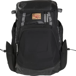 Rawlings Gold Glove Series Bat Pack