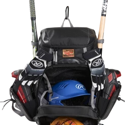 Rawlings Gold Glove Series Bat Pack