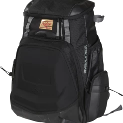 Rawlings Gold Glove Series Bat Pack