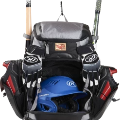 Rawlings Gold Glove Series Bat Pack