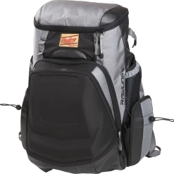 Rawlings Gold Glove Series Bat Pack