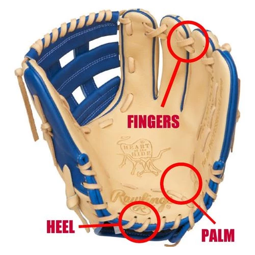 Apollo Sports Inc Partial Re-Lace Glove Re-Lacing And Repair Services 1 Apollo Sports Inc Partial Re-Lace Glove Re-Lacing And Repair Services