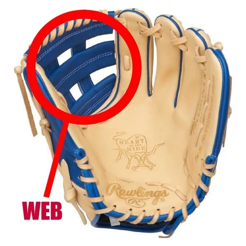 Apollo Sports Inc Glove Re-Lacing And Repair Services Web Only Re-Lace 1 Apollo Sports Inc Glove Re-Lacing And Repair Services Web Only Re-Lace